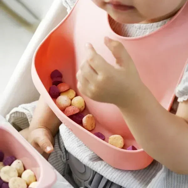 Everyday Silicone Toddler Dish Set